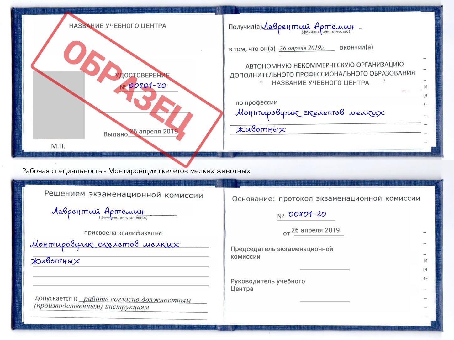 Монтировщик скелетов мелких животных Санкт-Петербург