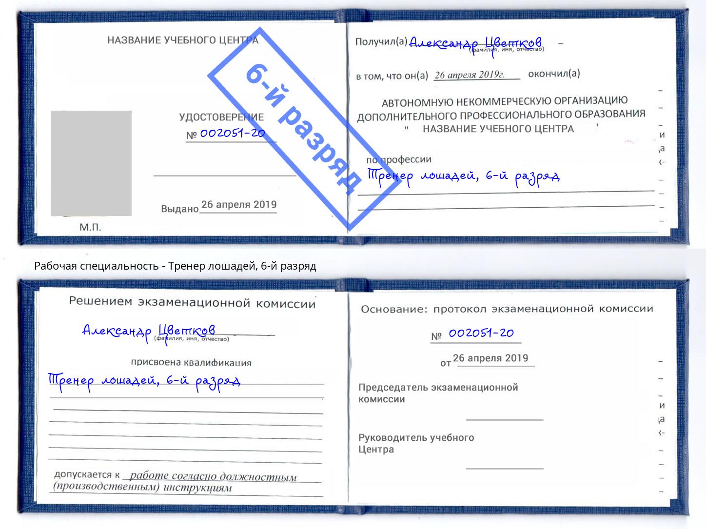 корочка 6-й разряд Тренер лошадей Санкт-Петербург