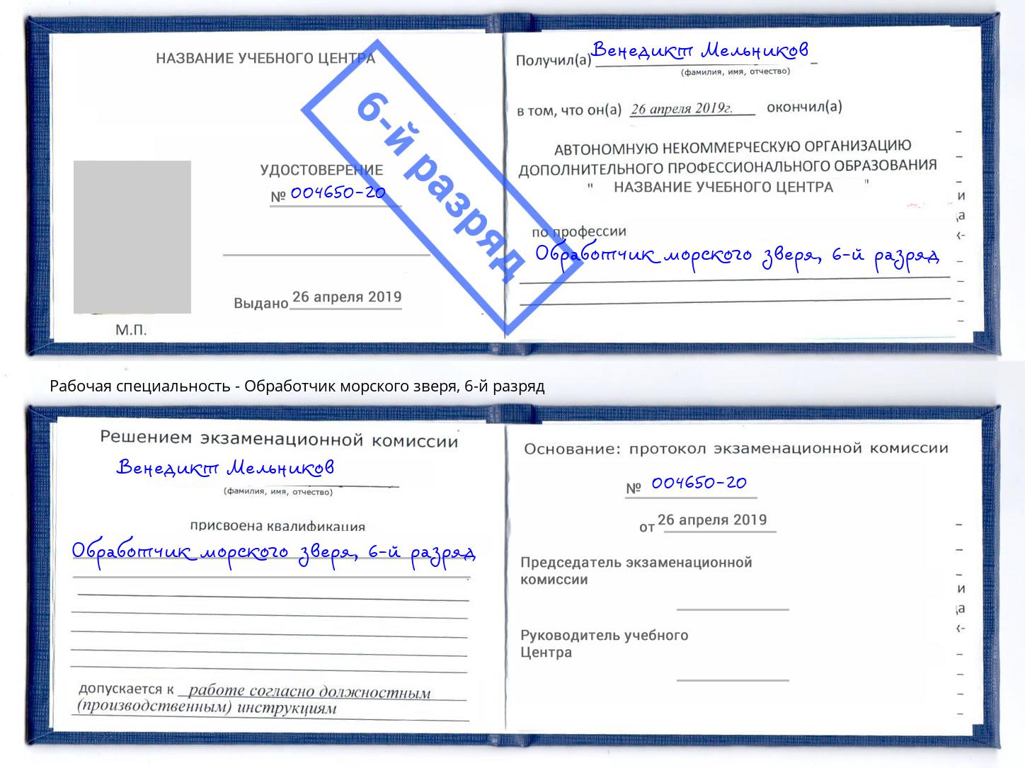 корочка 6-й разряд Обработчик морского зверя Санкт-Петербург