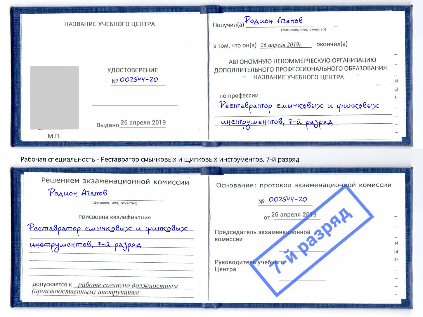 корочка 7-й разряд Реставратор смычковых и щипковых инструментов Санкт-Петербург